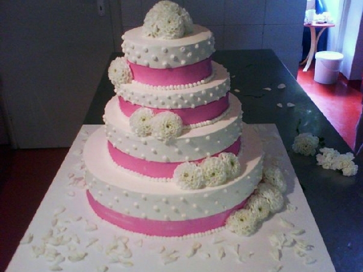 Torta 31
